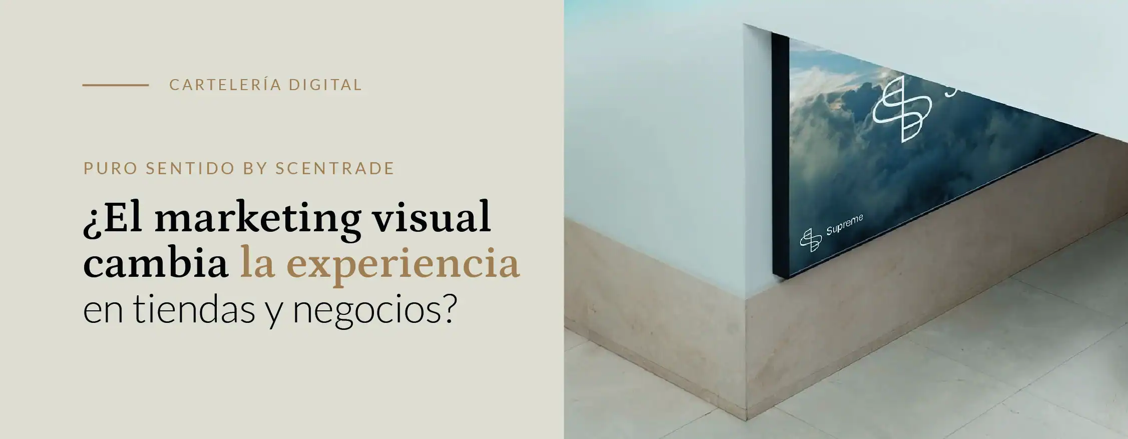 Cómo transformar la experiencia sensorial